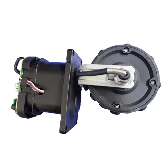 Rear Wheel Module